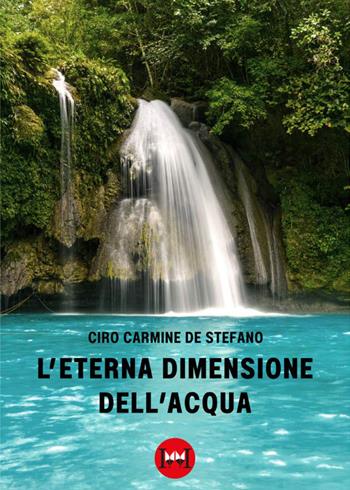 L'eterna dimensione dell'acqua - Ciro Carmine De Stefano - Libro Ivvi 2023, Poesia | Libraccio.it