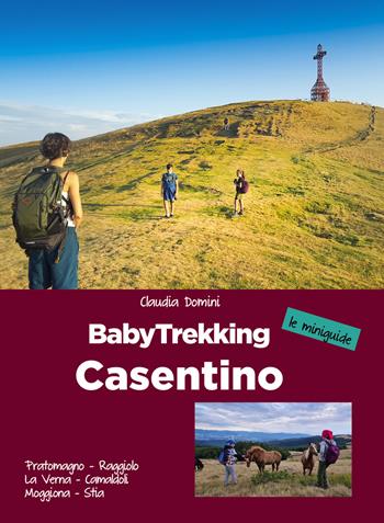 Babytrekking Casentino. Pratomagno, Raggiolo, La Verna, Camaldoli, Moggiona, Stia - Claudia Domini - Libro ViviDolomiti 2022, Le miniguide | Libraccio.it