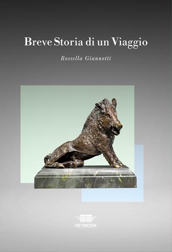 Breve storia di un viaggio - Rossella Giannotti - Libro HeyBook 2025 | Libraccio.it