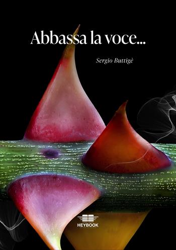 Abbassa la voce - Sergio Buttigè - Libro HeyBook 2025 | Libraccio.it