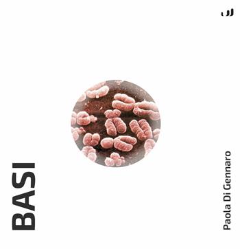 Basi - Paola Di Gennaro - Libro Industria & Letteratura 2024 | Libraccio.it
