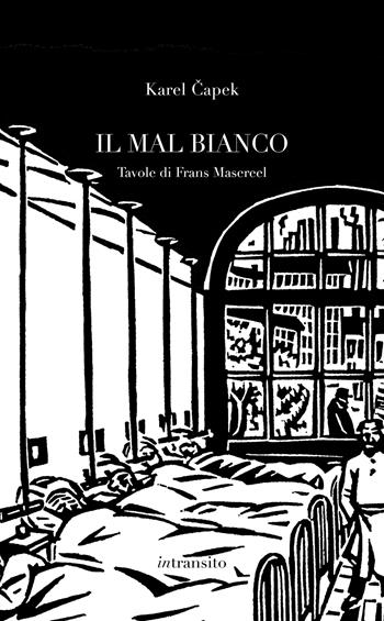 Il mal bianco. Con sei tavole di Frans Masereel - Karel Capek - Libro In Transito 2022 | Libraccio.it