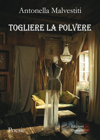 Togliere la polvere - Antonella Malvestiti - Libro Edizioni Convalle 2025 | Libraccio.it