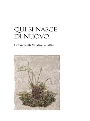 Qui si nasce di nuovo. La Fraternità Sandra Sabattini - Seminario diocesano di Faenza - Libro Edizioni Chiesa di Faenza-Modigliana 2024 | Libraccio.it
