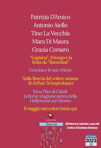 L'arte nell'arte. Catania, Gravina e i colori - Patrizia D'amico, Antonio Aiello, Tino La Vecchia - Libro GAEditori 2023, Brevis | Libraccio.it
