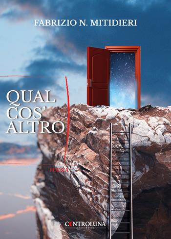 Qualcos'altro - Fabrizio N. Mitidieri - Libro Controluna 2024 | Libraccio.it