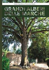 Grandi alberi delle Marche. Con Libro