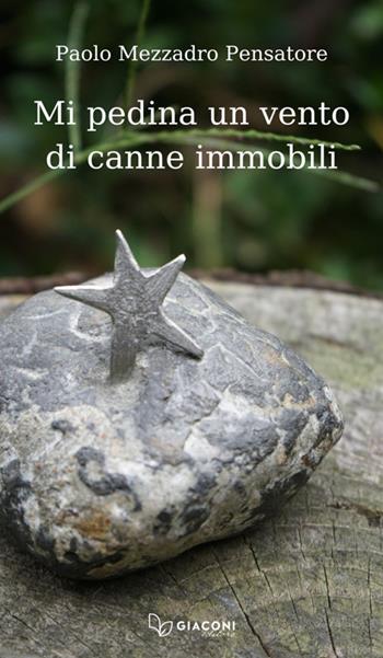 Mi pedina un vento di canne immobili - Paolo Mezzadro Pensatore - Libro Giaconi Editore 2025 | Libraccio.it
