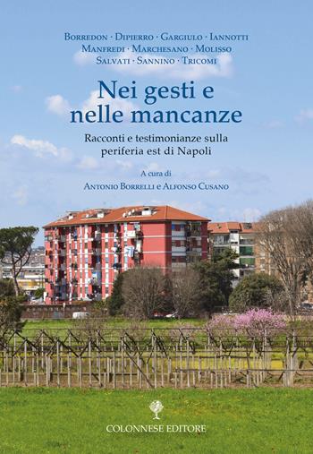 Nei gesti e nelle mancanze. Racconti e testimonianze sulla periferia est di Napoli  - Libro Colonnese 2024, Varia | Libraccio.it