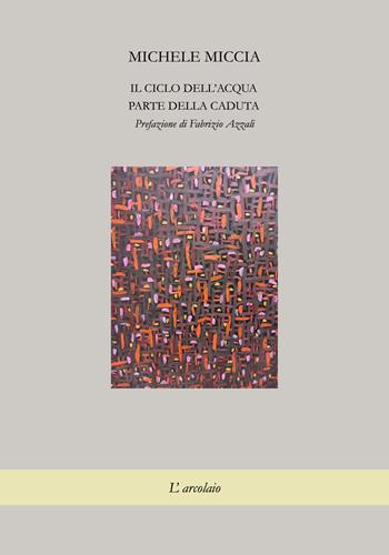 Il ciclo dell'acqua. Parte della caduta - Michele Miccia - Libro L'Arcolaio 2023, L' arcolaio gialla | Libraccio.it