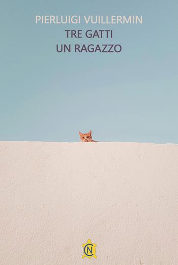 Tre gatti un ragazzo - Pierluigi Vuillermin - Libro CN 2025, Tascabili | Libraccio.it