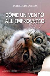 Come un vento all'improvviso