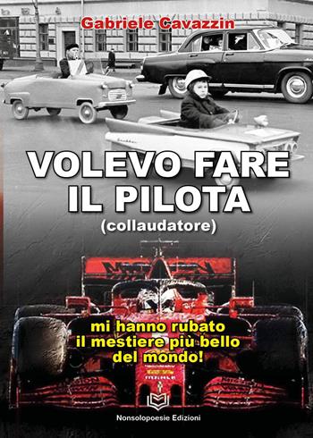 Volevo fare il pilota. Mi hanno rubato il mestiere più bello del mondo - Gabriele Cavazzin - Libro Nonsolopoesie 2023 | Libraccio.it