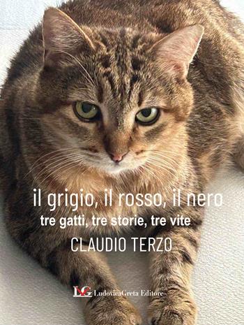 Il grigio, il rosso, il nero. Tre gatti, tre storie, tre vite. Ediz. illustrata - Claudio Terzo - Libro LG Editore 2025 | Libraccio.it