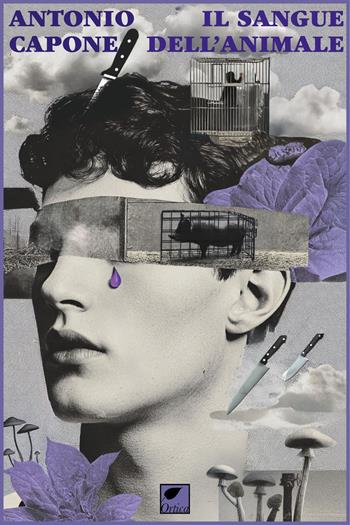 Il sangue dell’animale - Antonio Capone - Libro Ortica Editrice 2026, Gli artigli | Libraccio.it