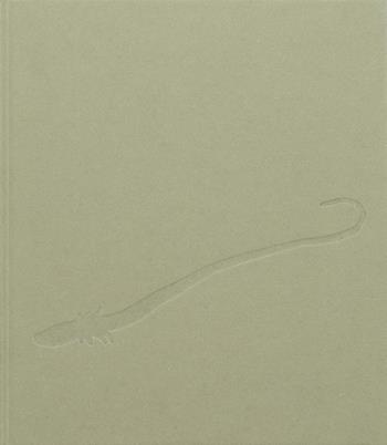 Chiara Camoni. Serpentesse. Ediz. illustrata - Elena Volpato - Libro A+MBookstore 2023 | Libraccio.it