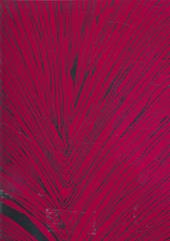 Unknown pleasures. Ediz. illustrata