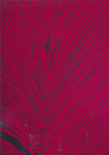 Unknown pleasures. Ediz. illustrata - Atelier dell'errore - Libro A+MBookstore 2025 | Libraccio.it