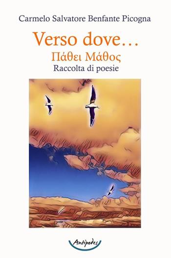 Verso dove… - Carmelo Salvatore Benfante Picogna - Libro Antipodes 2023 | Libraccio.it