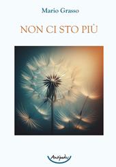 Non ci sto più