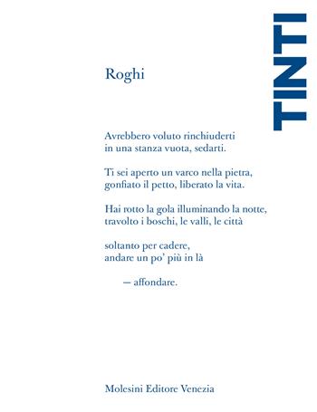 Roghi. Formule per uscire alla notte - Gabriele Tinti - Libro Molesini Editore Venezia 2027 | Libraccio.it