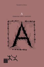 A. Femminismi versus apartheid