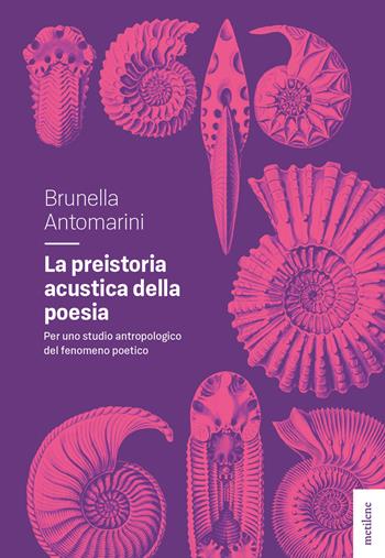 La preistoria acustica della poesia - Brunella Antomarini - Libro Metilene 2024, Interstizi | Libraccio.it