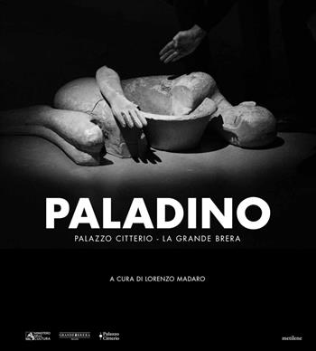Paladino. Ediz. illustrata  - Libro Metilene 2026 | Libraccio.it