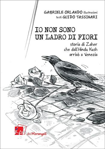 Io non sono un ladro di fiori. Storia di Zaher che dall'Hindu Kush arrivò a Venezia - Guido Tassinari - Libro Dei Merangoli Editrice 2025 | Libraccio.it