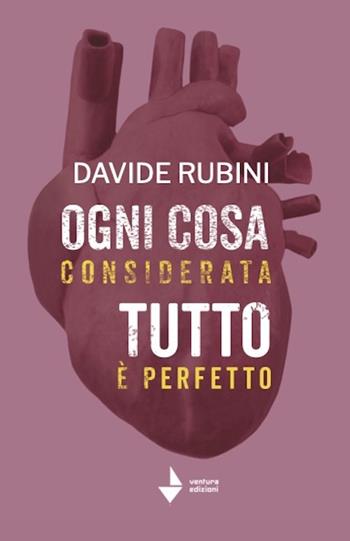 Ogni cosa considerata-Tutto è perfetto - Davide Rubini - Libro Venturaedizioni 2023, Spiaggia libera | Libraccio.it
