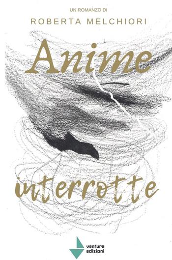 Anime interrotte - Roberta Melchiori - Libro Venturaedizioni 2024, Spiaggia libera | Libraccio.it