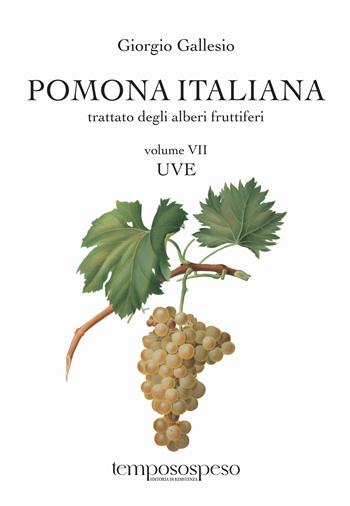 Pomona italiana ossia Trattato degli alberi fruttiferi. Vol. 7: Uve - Giorgio Gallesio - Libro Temposospeso 2024 | Libraccio.it