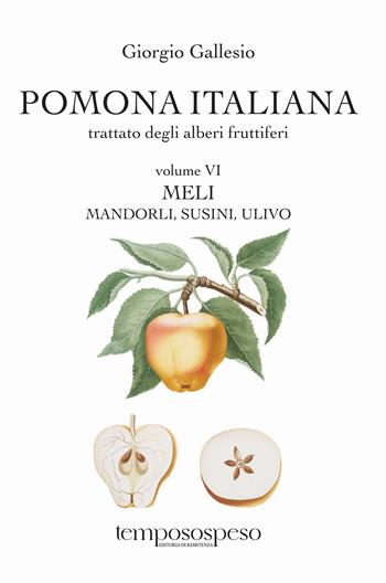 Pomona italiana ossia Trattato degli alberi fruttiferi. Vol. 6: Meli, mandorli, susini, ulivo - Giorgio Gallesio - Libro Temposospeso 2025 | Libraccio.it