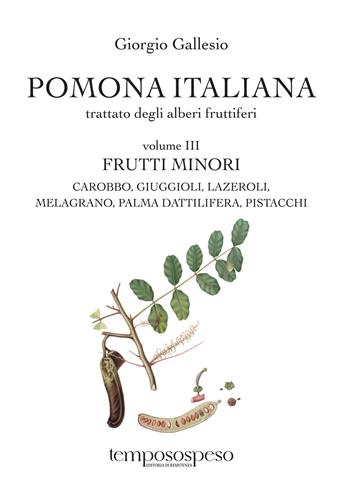 Pomona italiana ossia Trattato degli alberi fruttiferi. Vol. 3: Frutti minori. Carobbo, giuggioli, lazeroli, melograno, palma dattilifera, pistacchi - Giorgio Gallesio - Libro Temposospeso 2026 | Libraccio.it