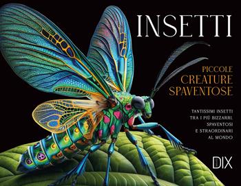 Gli insetti - Susan Barraclough - Libro Dix 2025 | Libraccio.it