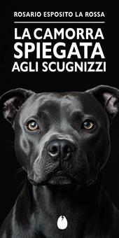 La camorra spiegata agli Scugnizzi