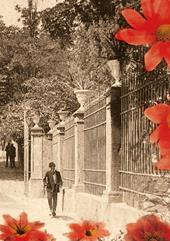 Quadernino A5 - Eden