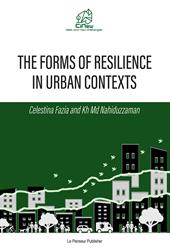 The forms of resilience in urban contexts