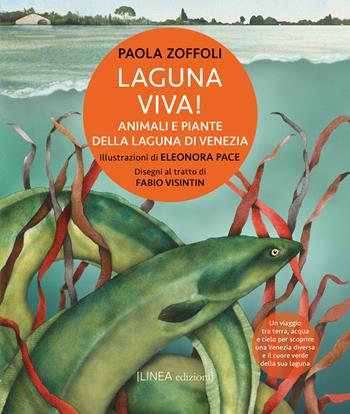 Laguna viva! Animali, piante e habitat della Laguna di Venezia. Ediz. illustrata - Paola Zoffoli - Libro Linea Edizioni 2024, Linea narrativa | Libraccio.it