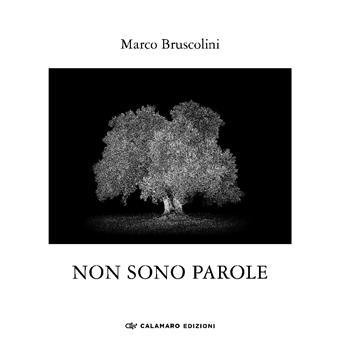 Non sono parole. Quasi un rifugio dall'ansia della xylella. Ediz. illustrata - Marco Bruscolini - Libro Calamaro Edizioni 2024, Fotografia | Libraccio.it