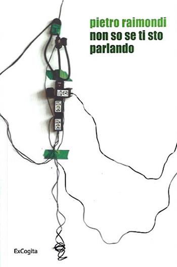 Non so se ti sto parlando - Pietro Raimondi - Libro ExCogita 2024, Voluminaria verde | Libraccio.it