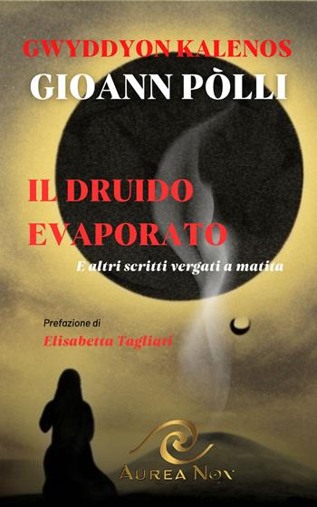 Il Druido evaporato. E altri scritti vergati a matita - Gioann Pòlli, Gwyddyon Kalenos - Libro Aurea Nox 2024 | Libraccio.it