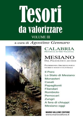 Tesori da valorizzare. Calabria, provincia di Vibo Valentia. Vol. 3: Mesiano. Dal Paleolitico ad oggi  - Libro Mario Vallone 2026 | Libraccio.it