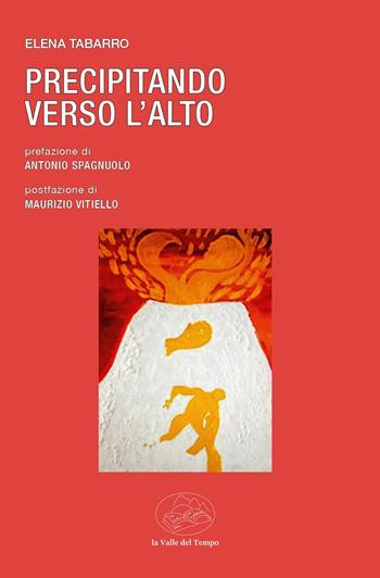 Precipitando verso l'alto - Elena Tabarro - Libro La valle del tempo 2025, Frontiere della poesia contemporanea | Libraccio.it