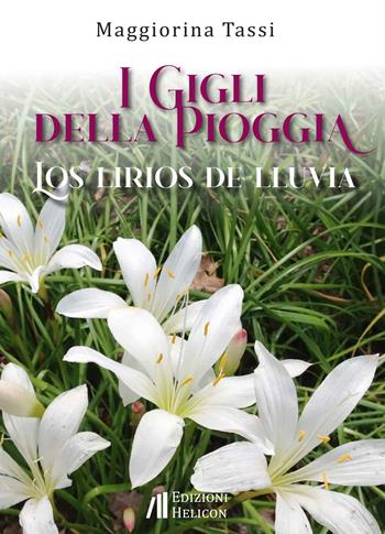 I gigli della pioggia-Los lirios de lluvia. Ediz. bilingue - Maggiorina Tassi - Libro Helicon 2024 | Libraccio.it