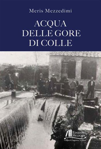 Acqua delle gore di Colle - Meris Mezzedimi - Libro Helicon 2025, Collana di Saggistica Le Muse | Libraccio.it