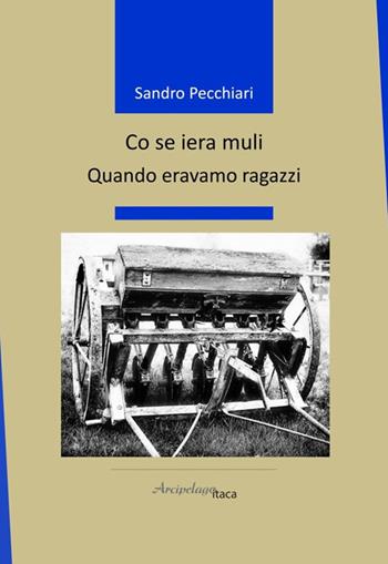 Co se iera muli. Quando eravamo ragazzi - Sandro Pecchiari - Libro Arcipelago Itaca 2025, Altrimari | Libraccio.it
