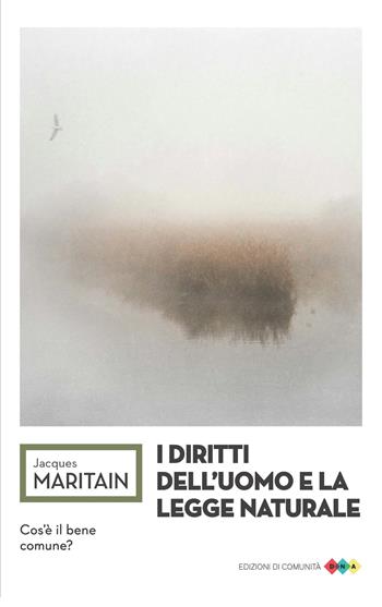 I diritti dell'uomo e la legge naturale - Jacques Maritain - Libro Edizioni di Comunità 2025, DNA | Libraccio.it