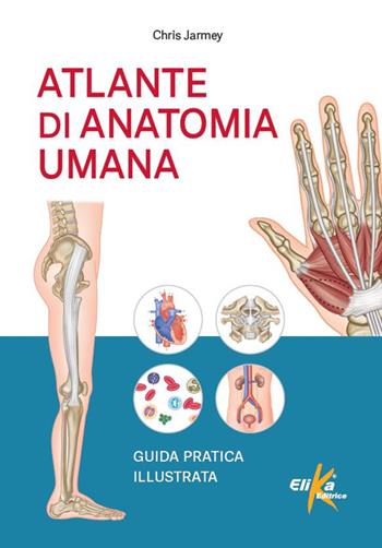 Atlante di anatomia umana. Guida pratica illustrata. Ediz. illustrata - Chris Jarmey - Libro Elika 2025, Anatomia | Libraccio.it