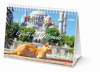 Gatti nel mondo. Calendario da tavolo 2026. 14 mesi  - Libro Quattrozampe 2025, Un anno con Quattrozampe | Libraccio.it